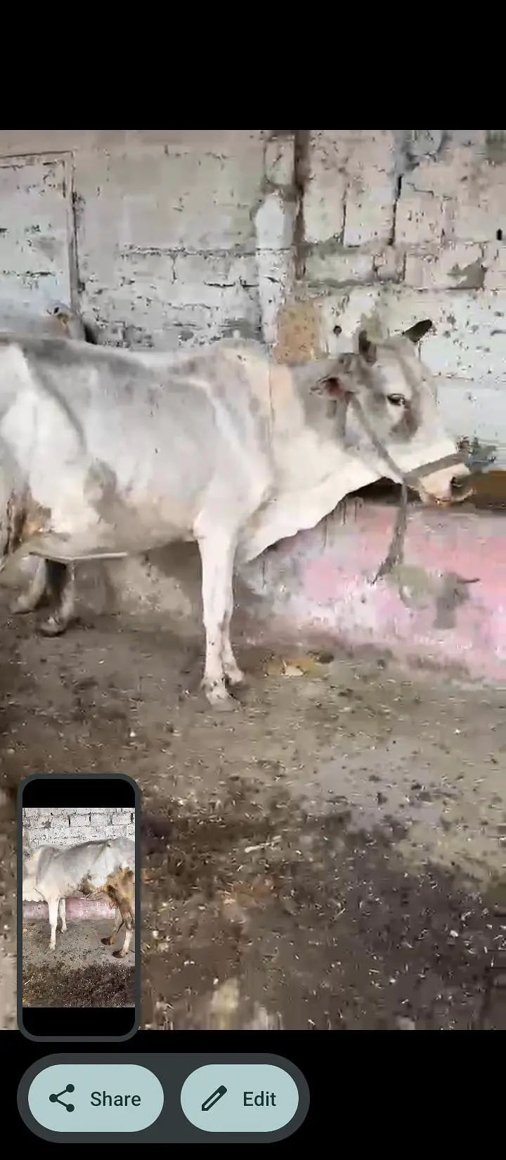 2 janwaar