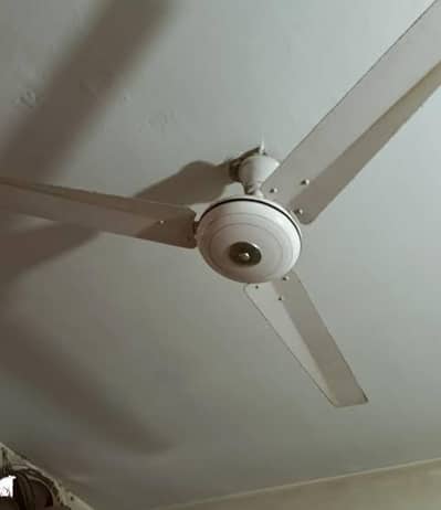 cileinng fan
