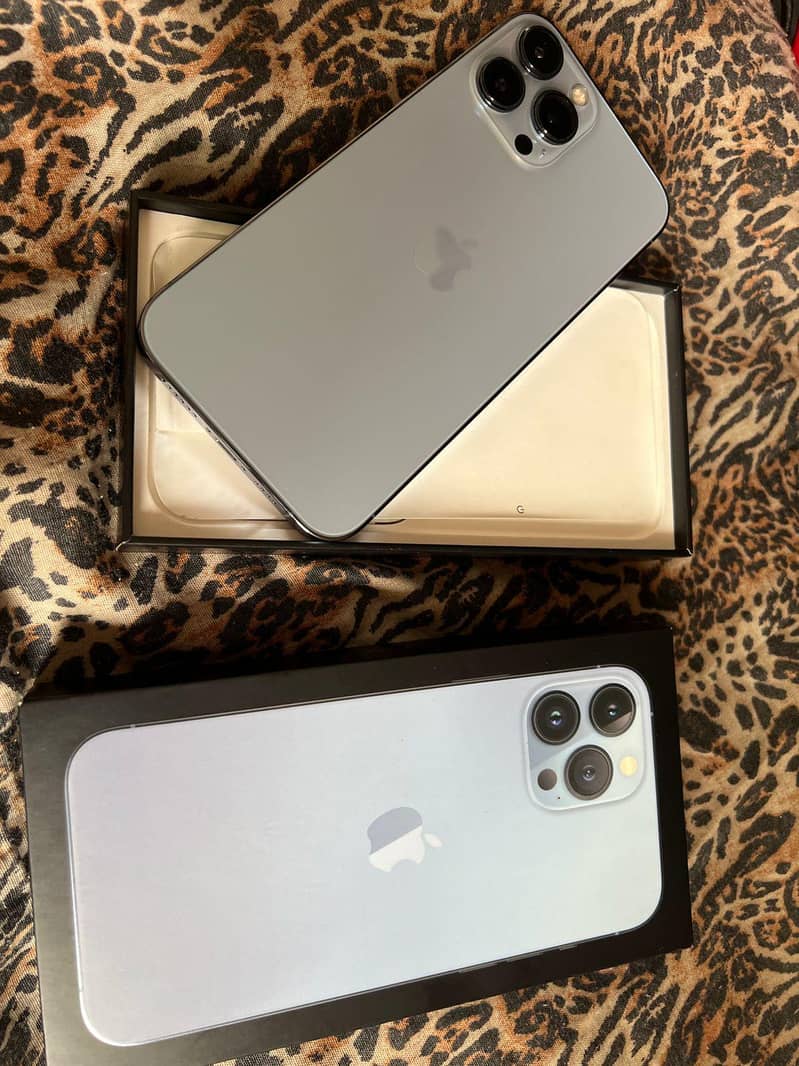 Apple iPhone 13 Pro Max 0