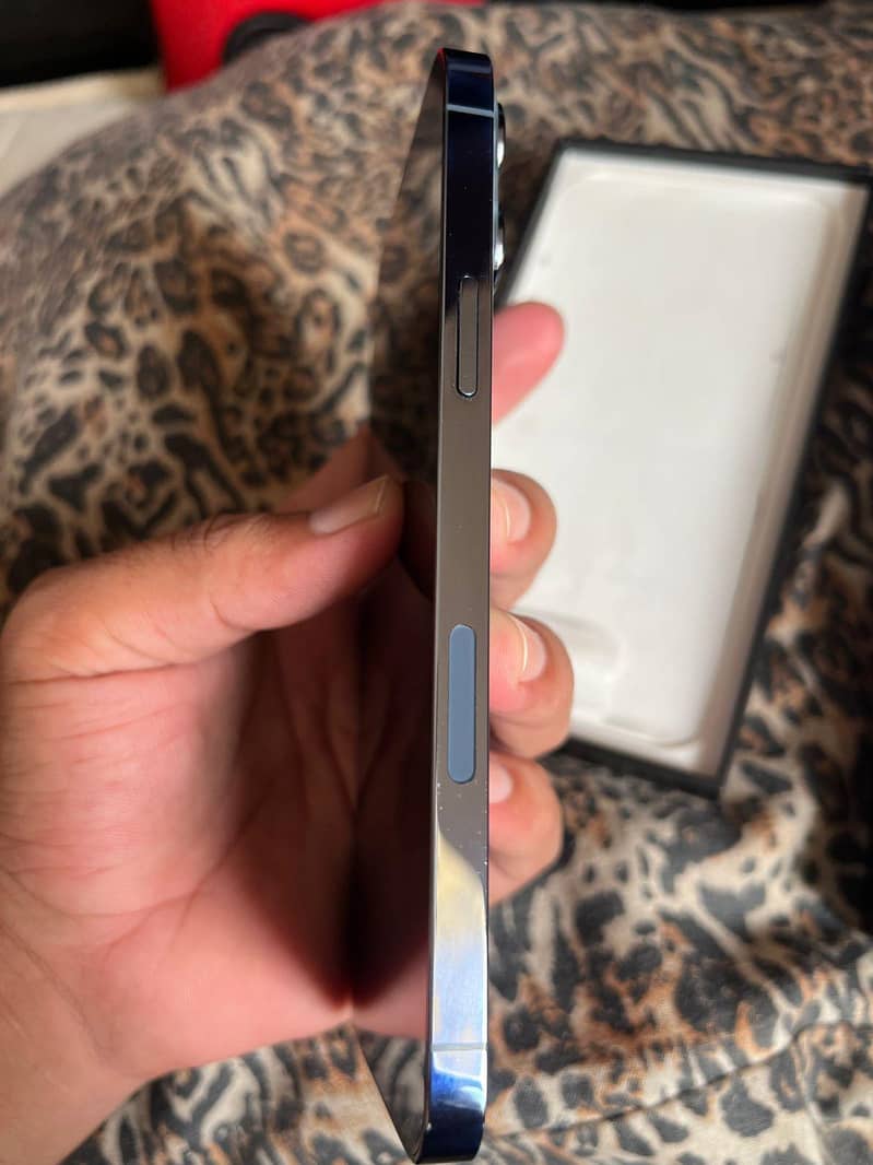 Apple iPhone 13 Pro Max 2