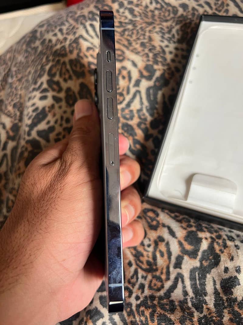 Apple iPhone 13 Pro Max 4