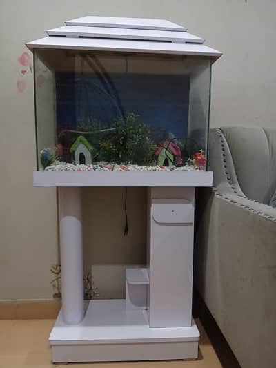 Fish Aquarium