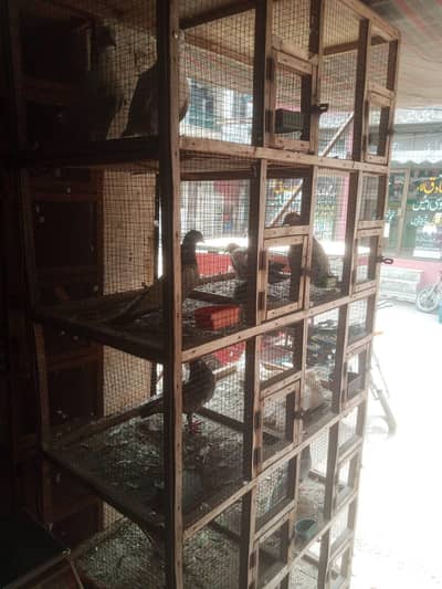 HEN cages available in best price