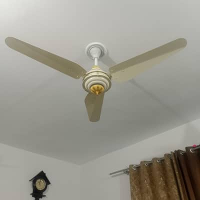 fan 56"