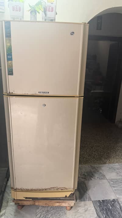 PEL ASPIRE Refrigerator
