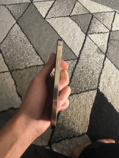 Apple iPhone 12 Pro
