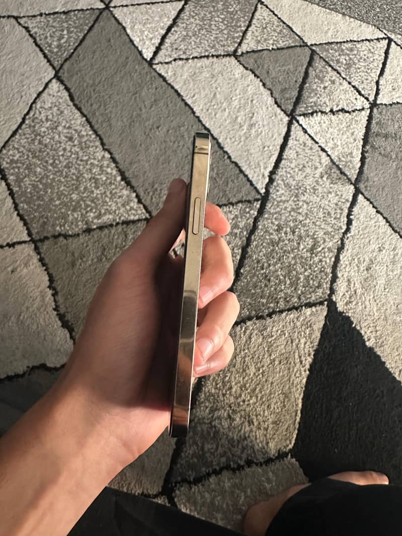 Apple iPhone 12 Pro 0