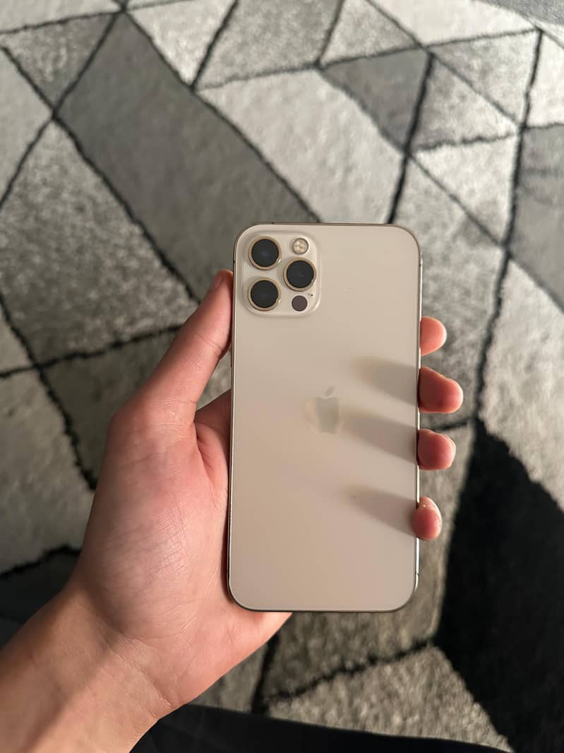 Apple iPhone 12 Pro 1