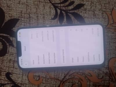 iPhone 13 Pro 256 GB Non PTA JV
