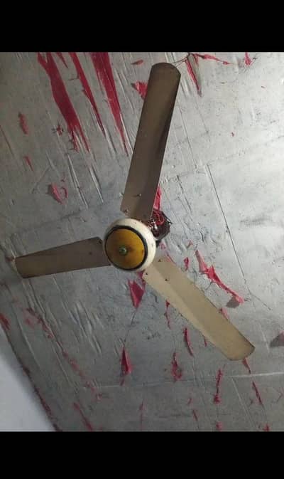 celling fan