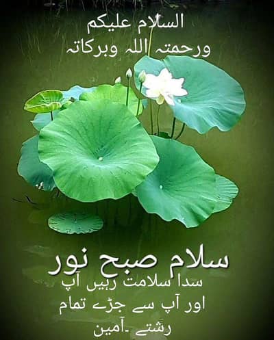 کپڑے جھاڑو کے لئے میڈ، G-9/4