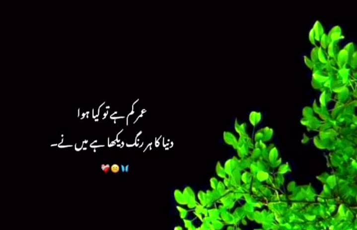Safi Traders 0