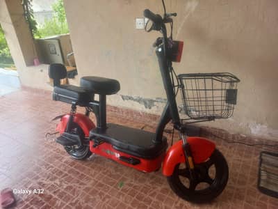 evee flipper for sale