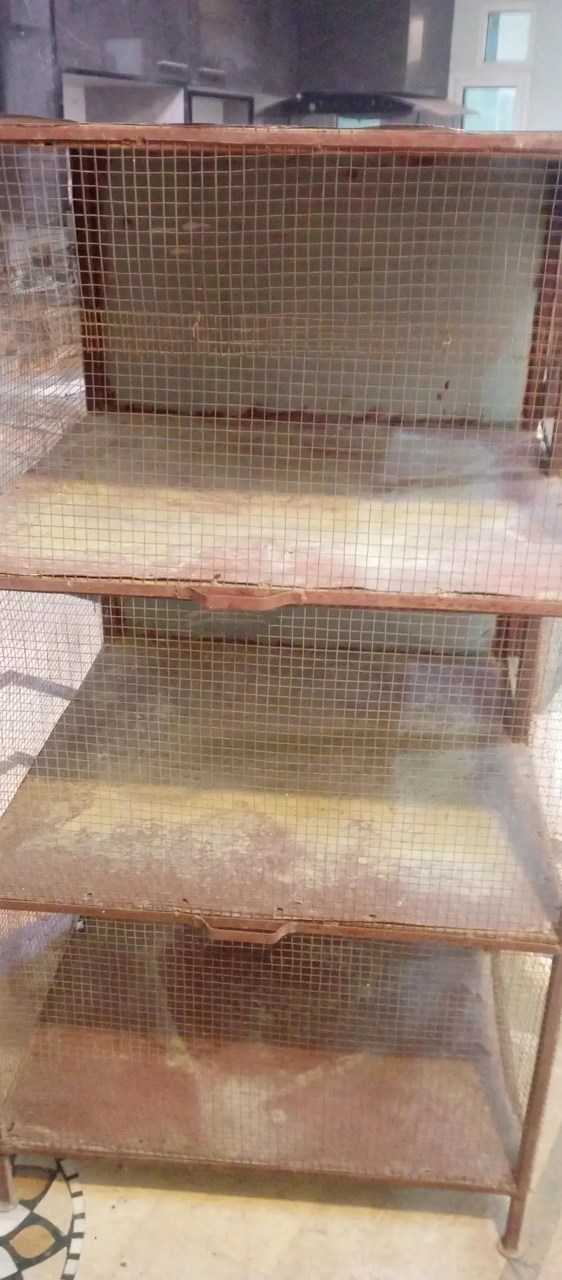 Birds pinjara/ cage for sale — photo 3
