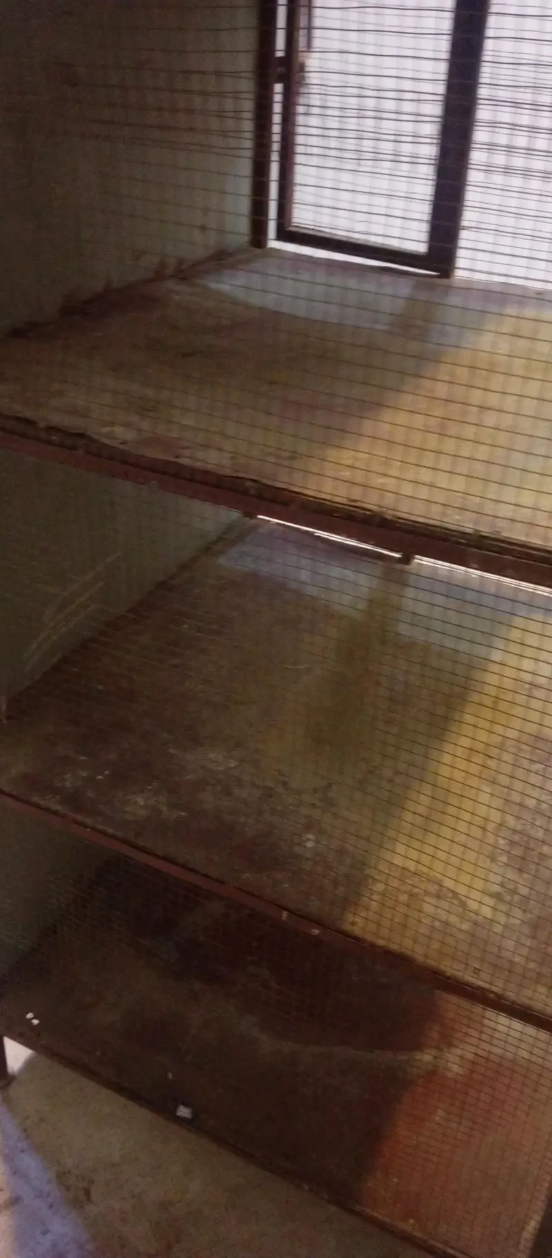 Birds pinjara/ cage for sale — photo 4