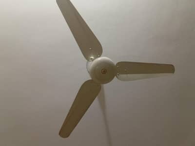 Ceiling Fan
