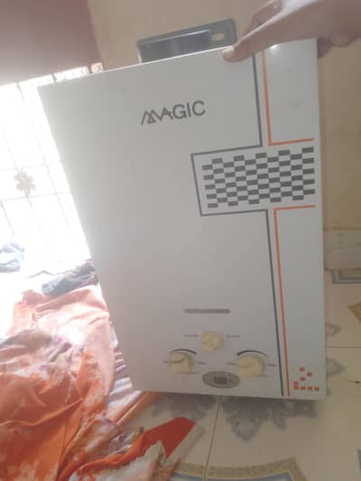 Electric gyser