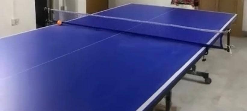 Table Tennis 1
