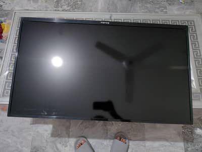 ecostar led