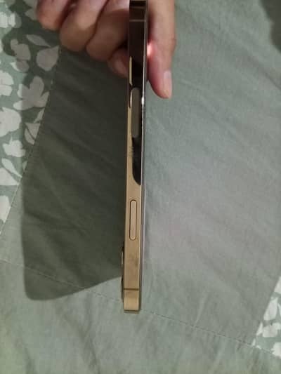 Apple iPhone 12 Pro