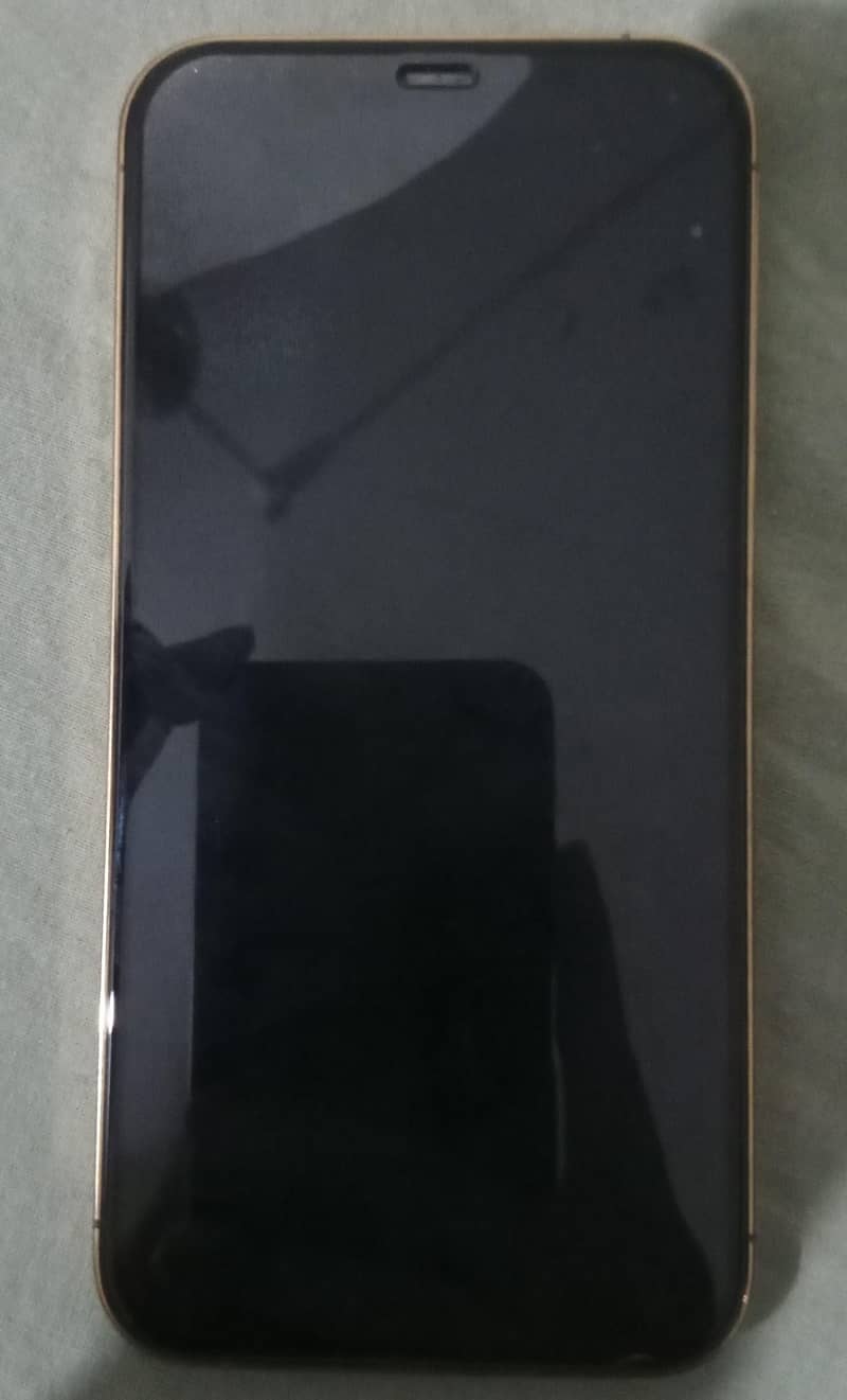 Apple iPhone 12 Pro 1