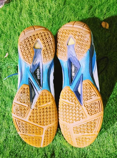 Yonex shoes