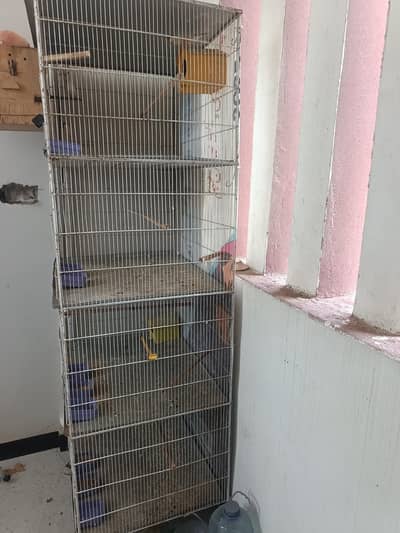 4 portion Cage