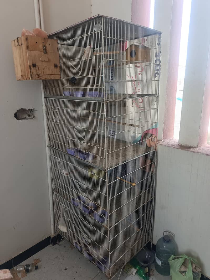 4 portion Cage 1