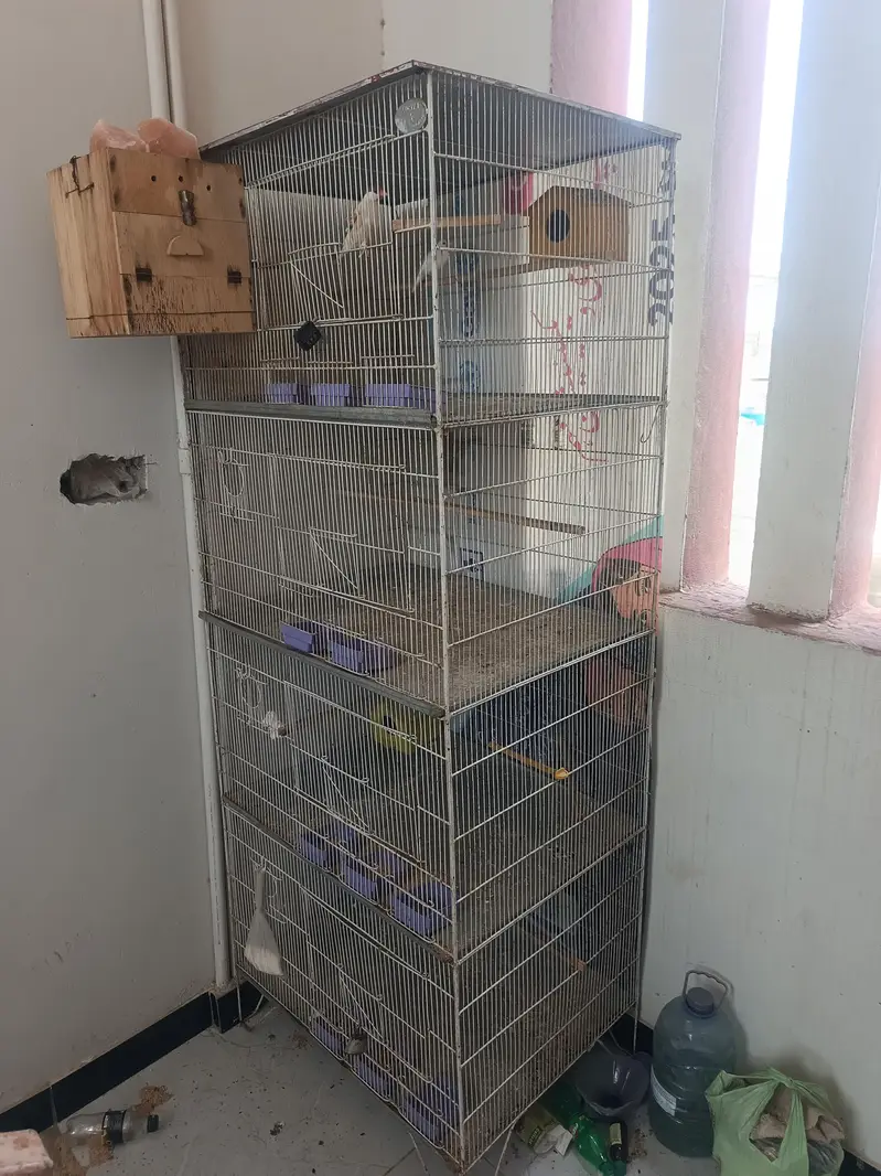 4 portion Cage — photo 2