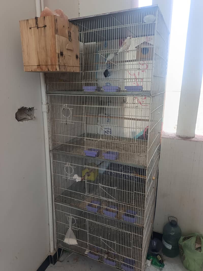 4 portion Cage 2