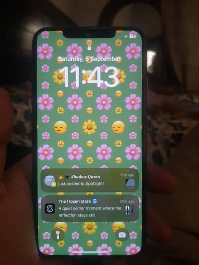 Apple iPhone XS Max