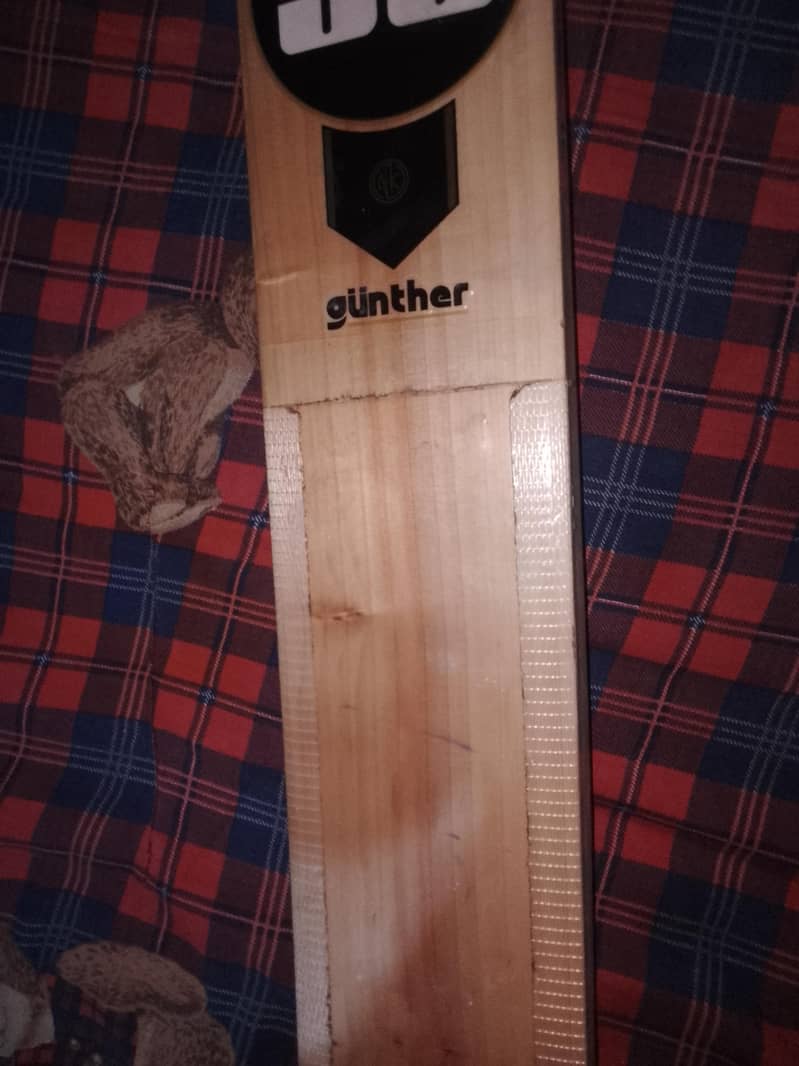 SS Sunridges 1