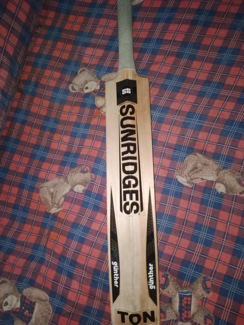 SS Sunridges 4