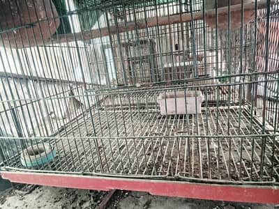 1.5 * 2 ft cage available for sale