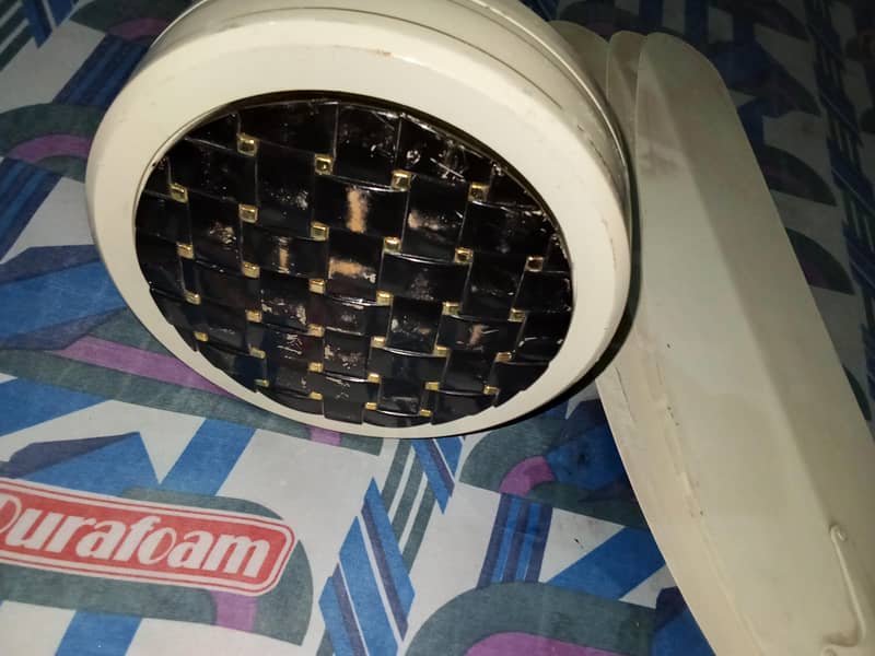 ceiling fan 1