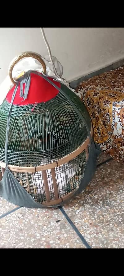 sindhi pata 03239140503