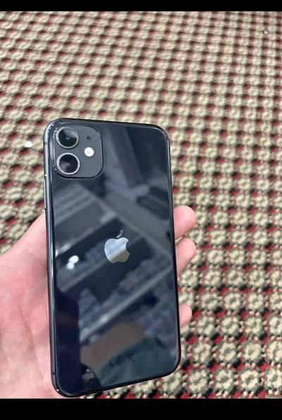 Apple iPhone 11 water pack