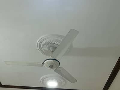 Ceiling Fan