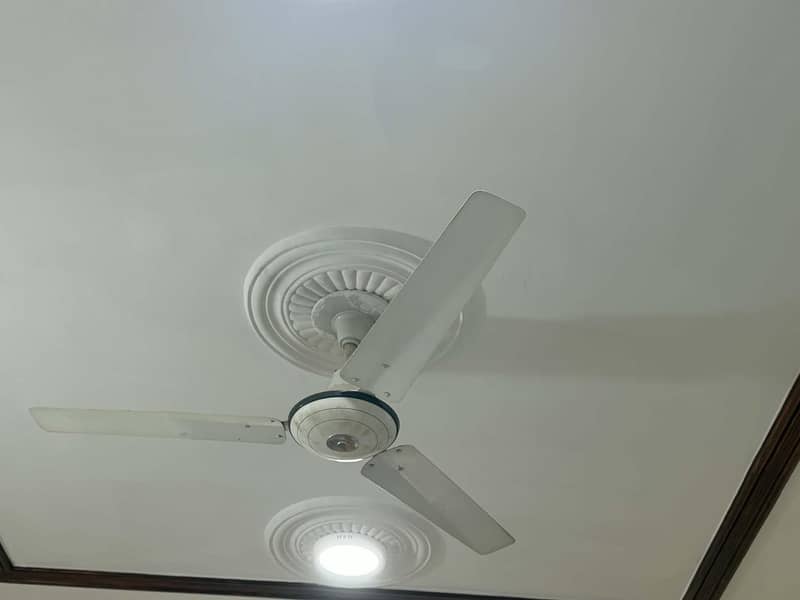 Ceiling Fan 0