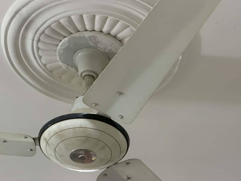 Ceiling Fan 1