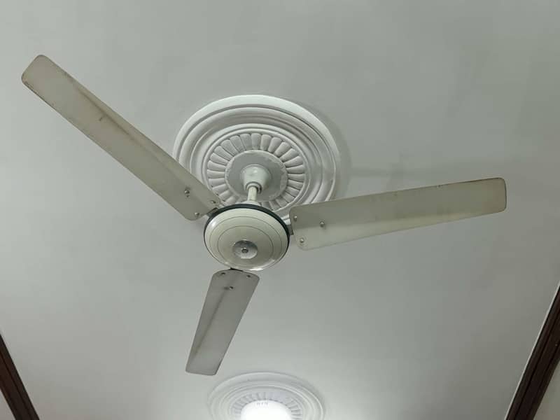 Ceiling Fan 2