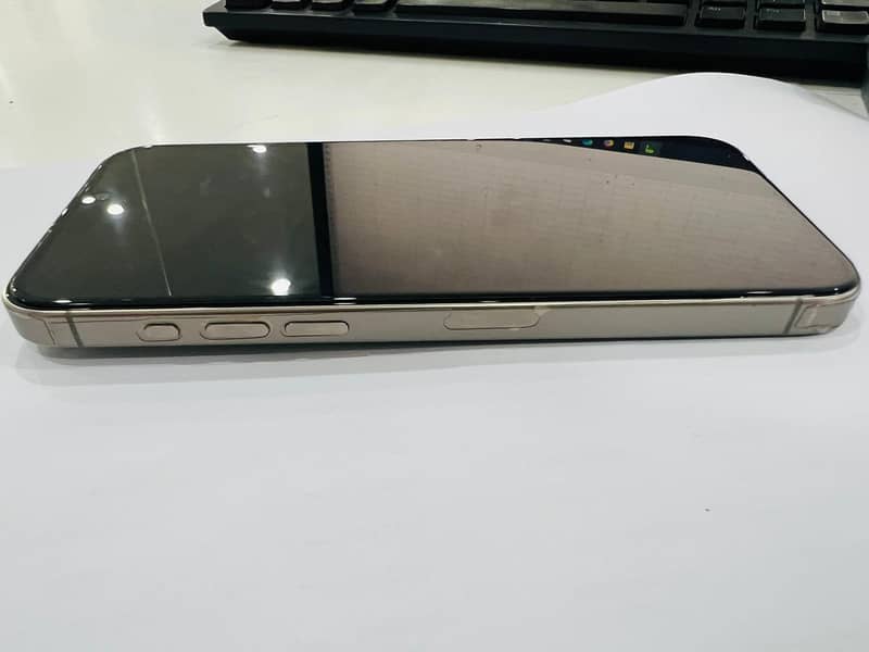 Apple iPhone 15 Pro Max 1