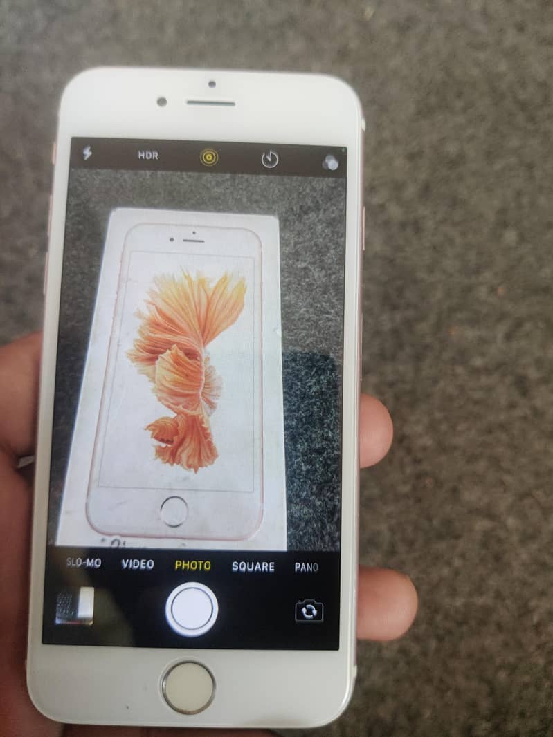 Apple iPhone 6S 5