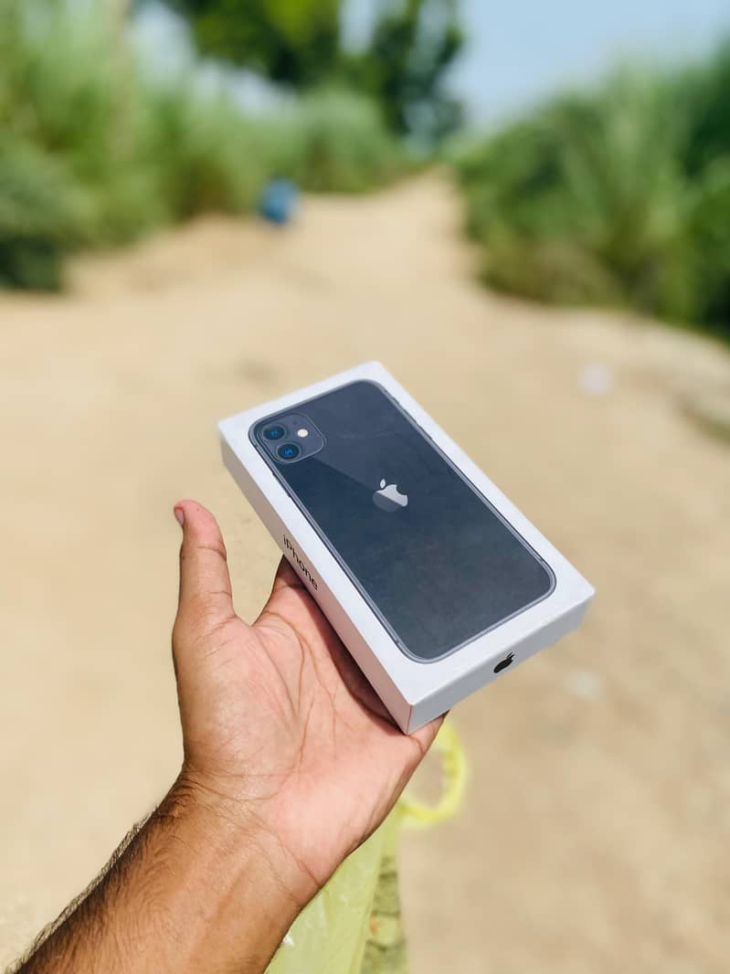 Apple iPhone 11 0