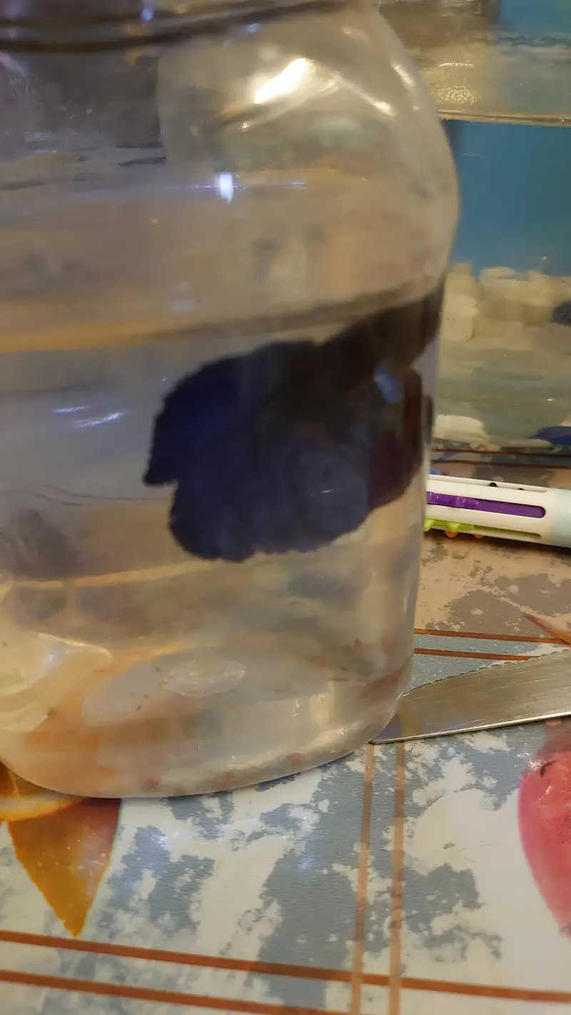 fish aquarium (tank) for sale with beautiful fishes urgent sale — photo 8