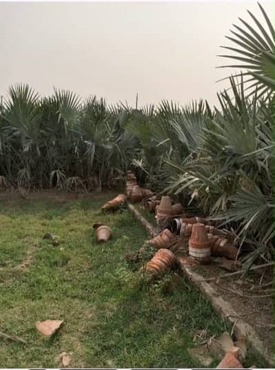 5 Kanal 2 Marla Dairy Farm for Sale Near Raiwind Road Lahore