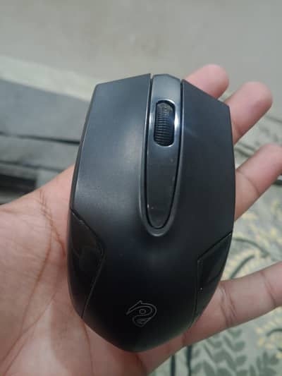  RAYUE Wireless Mouse For Sale