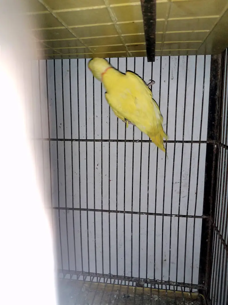 03064344199 — photo 4