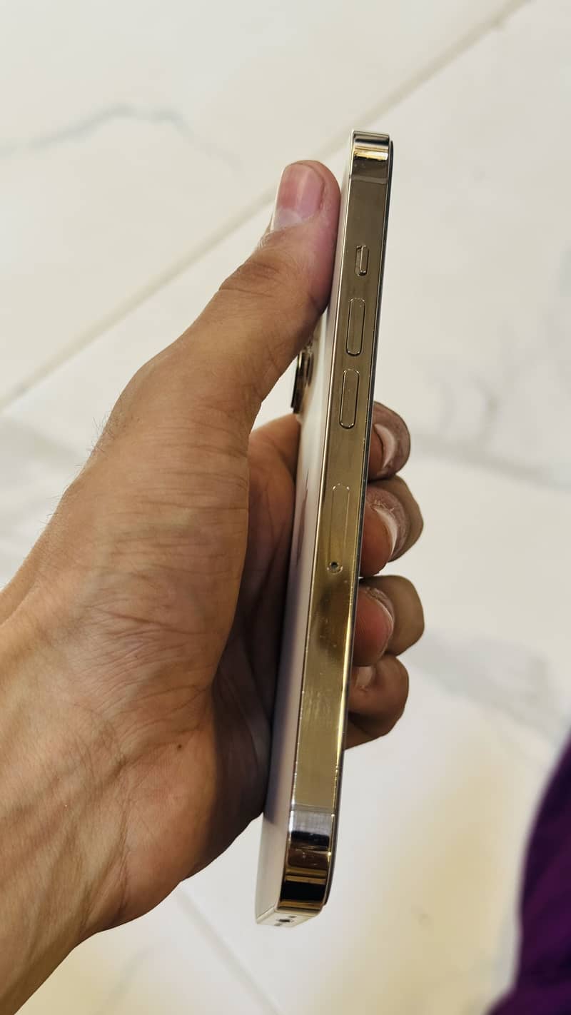 Apple iPhone 13 Pro 1