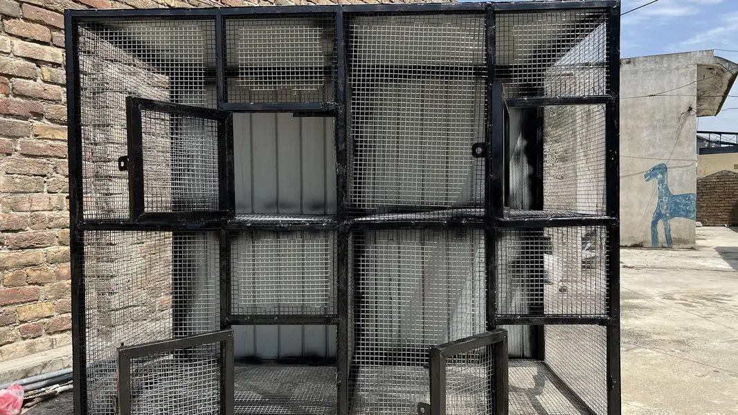 Cage brand new 5*4 — photo 2